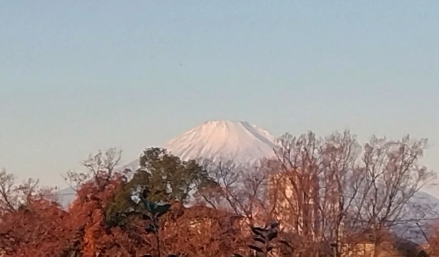 f:id:rie4771:20250102103209j:image
