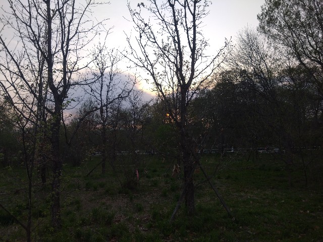 f:id:rie4771:20250427180304j:image