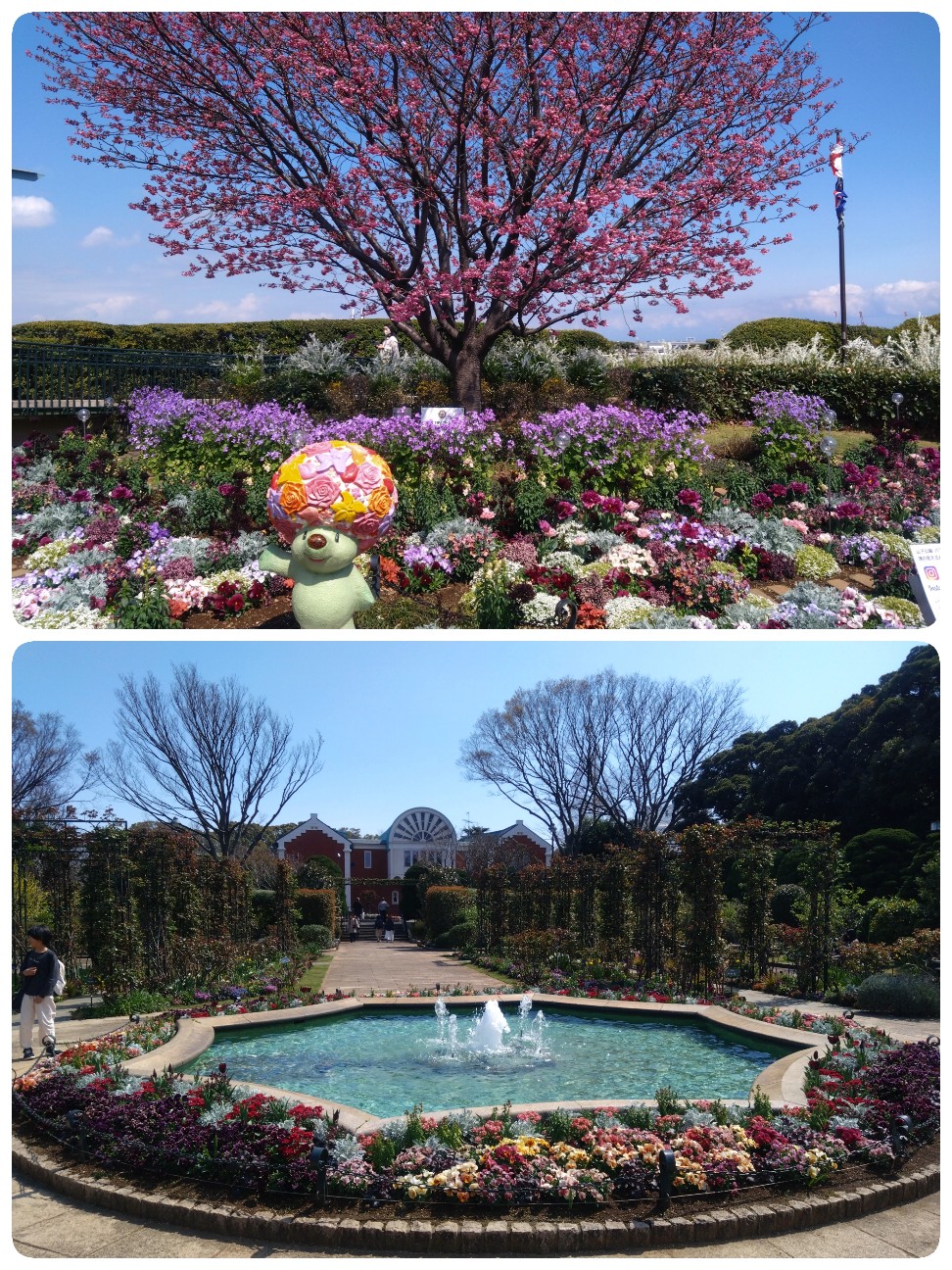 f:id:rie4771:20260327131237j:image