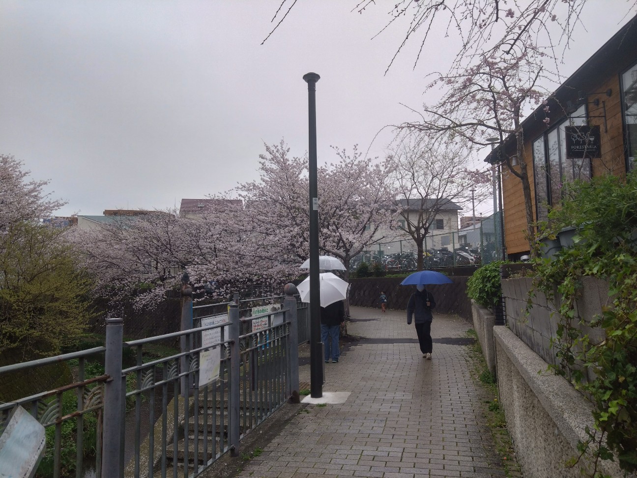 f:id:rie4771:20260401131257j:image