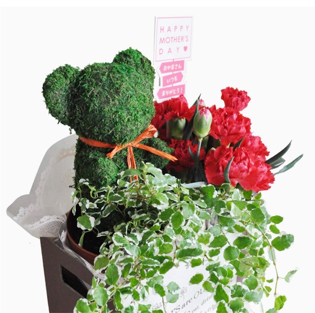 f:id:rie563:20200507163338j:image f:id:rie563:20200507163338j:image