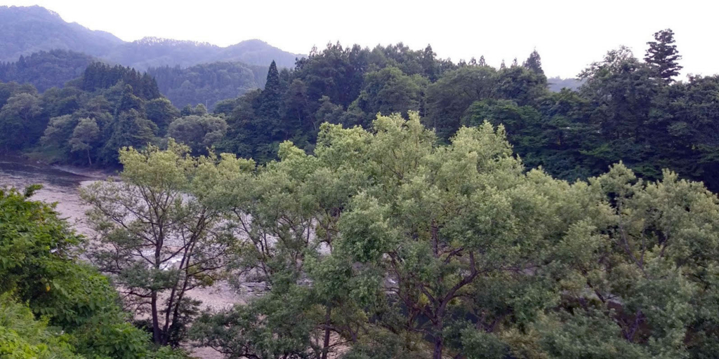 f:id:rie_emoto:20180723103014j:plain f:id:rie_emoto:20180723103014j:plain