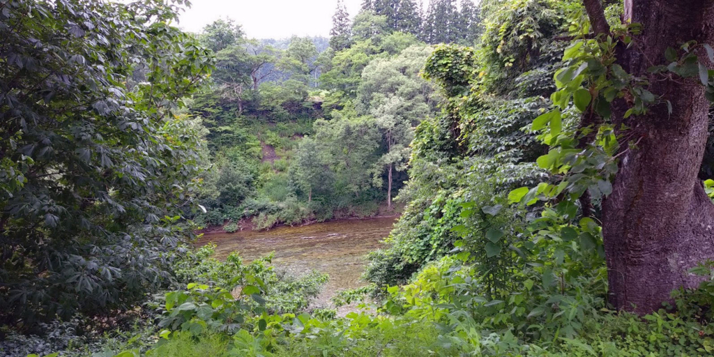 f:id:rie_emoto:20180723103019j:plain f:id:rie_emoto:20180723103019j:plain