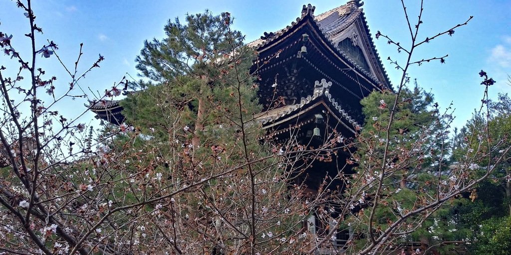 f:id:rie_emoto:20190124121622j:plain