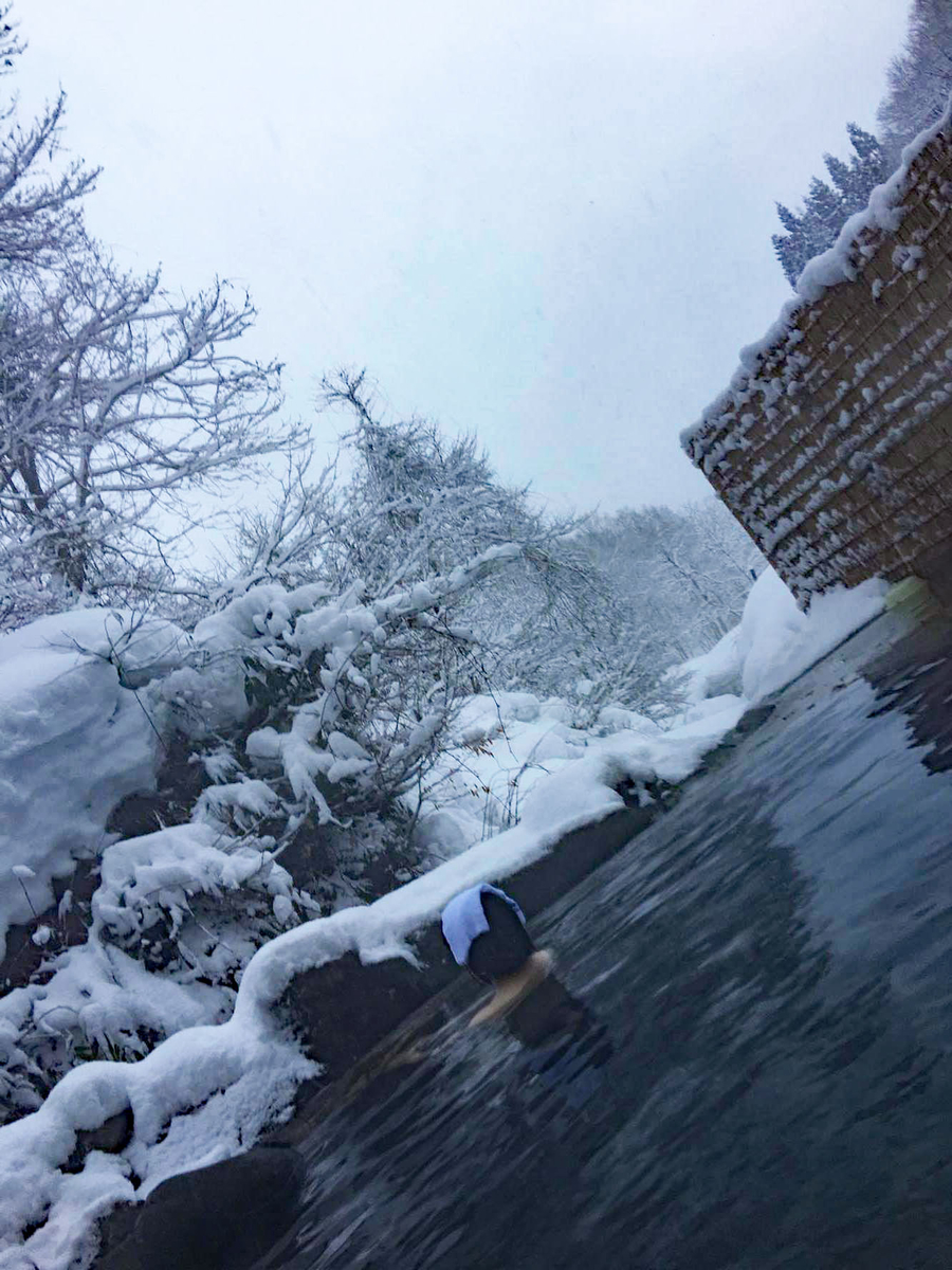 f:id:rie_emoto:20190325101358j:plain f:id:rie_emoto:20190325101358j:plain