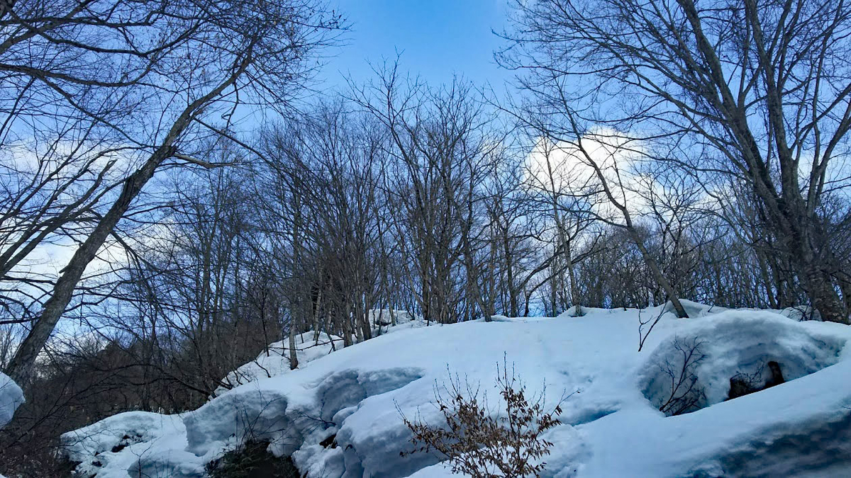 f:id:rie_emoto:20190325101408j:plain f:id:rie_emoto:20190325101408j:plain