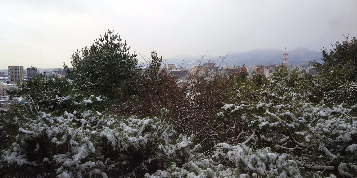 f:id:rie_emoto:20201214122219j:plain