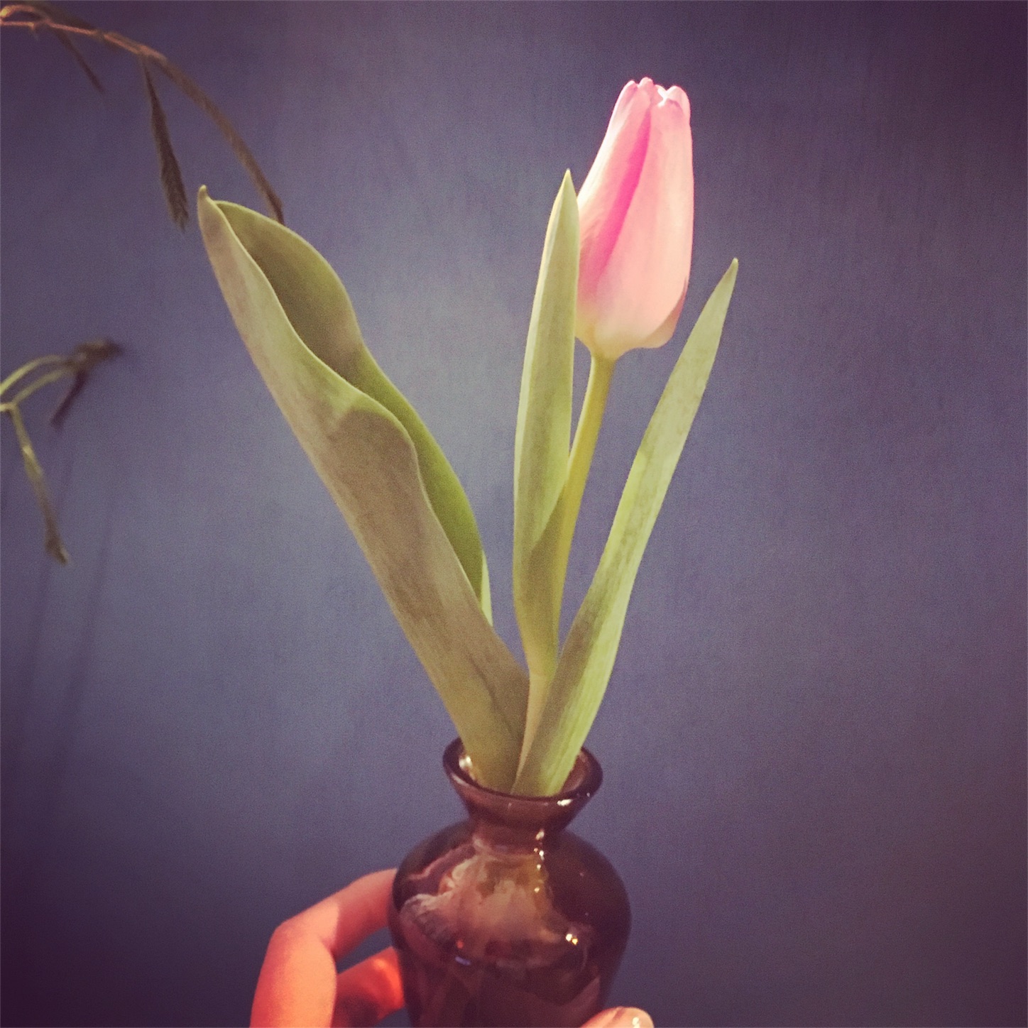 f:id:rieco-0425:20180204173323j:image