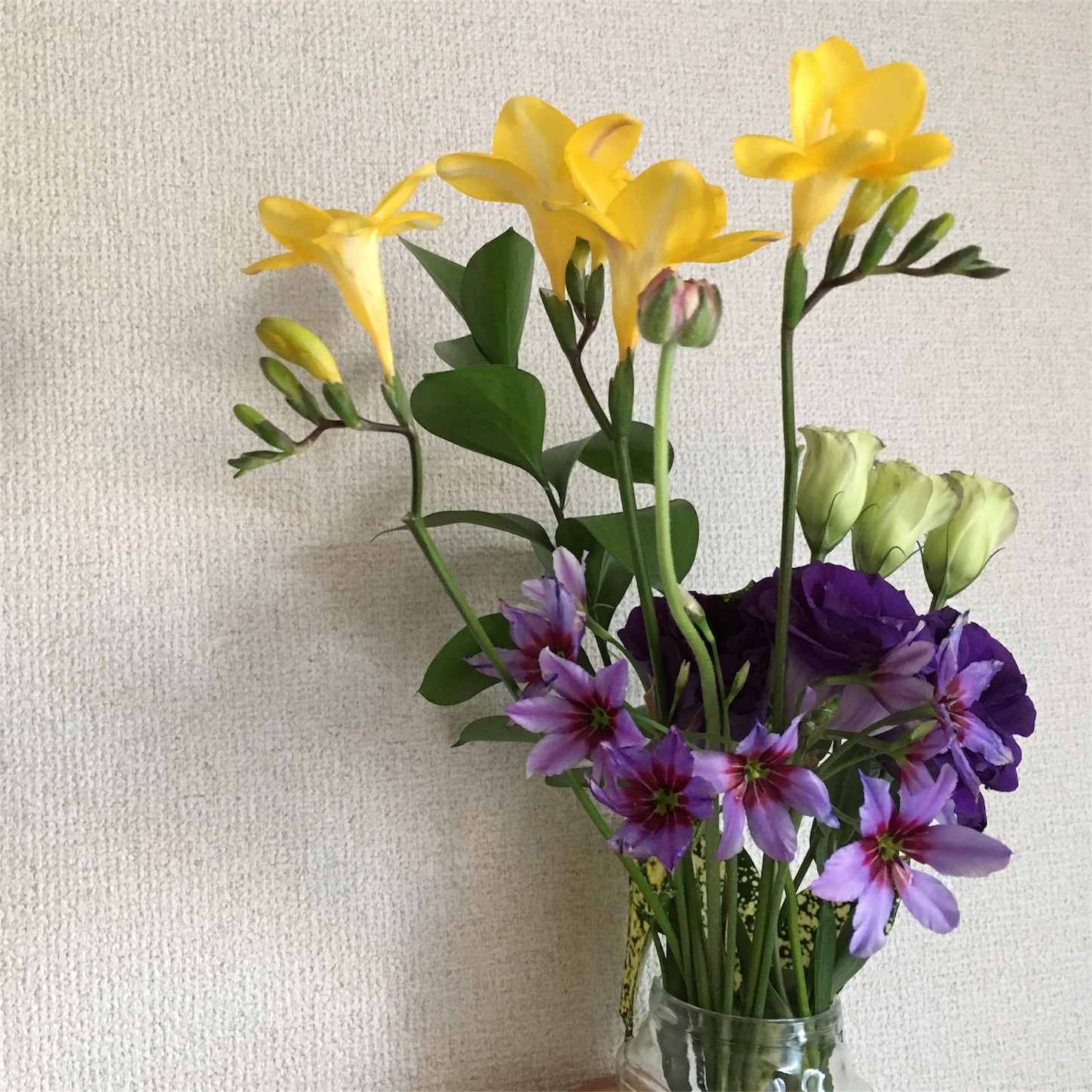 f:id:rieco-0425:20180205154504j:image