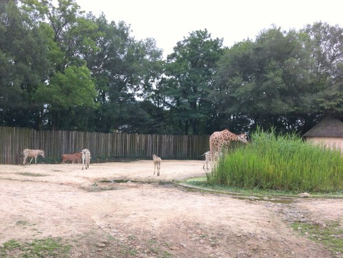 東武動物公園 動物園 東京 埼玉
