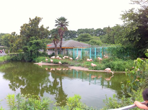 東武動物公園 動物園 東京 埼玉