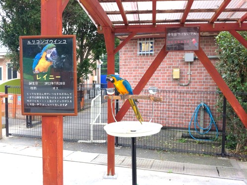 東武動物公園 動物園 東京 埼玉