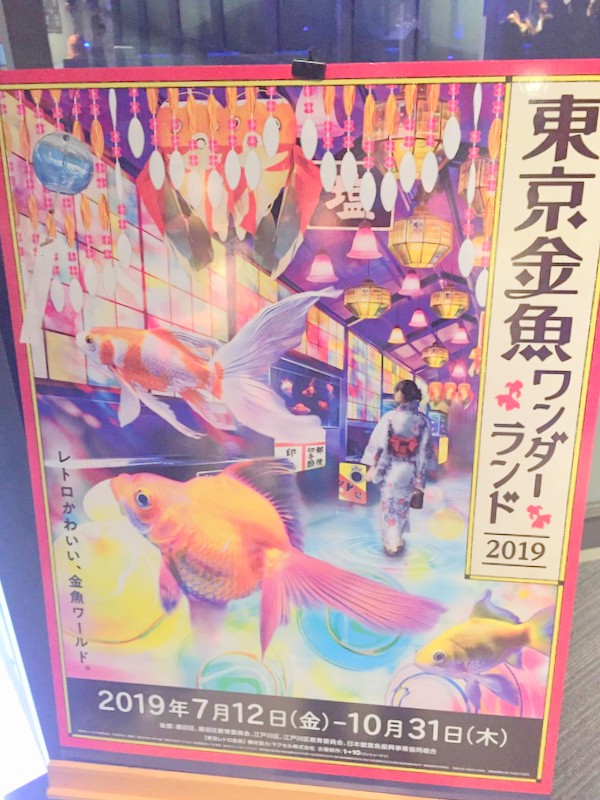 すみだ水族館 おすすめ 2019 f:id:riekoand:20190814073344j:plain