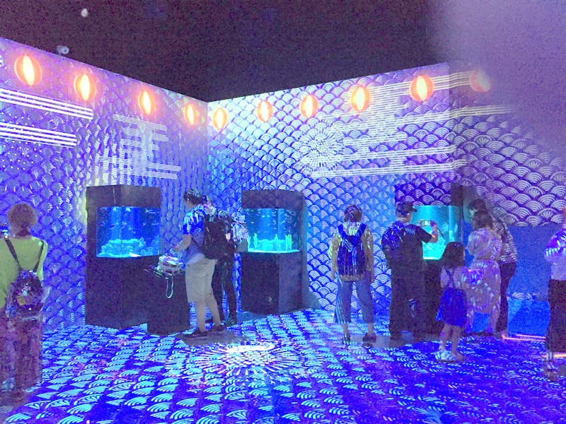 アクアパーク 品川 レビュー 口コミ f:id:riekoand:20190901065913j:plain
