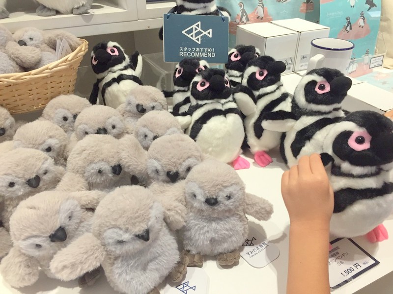 すみだ水族館 おすすめ ショップ f:id:riekoand:20190901074937j:plain