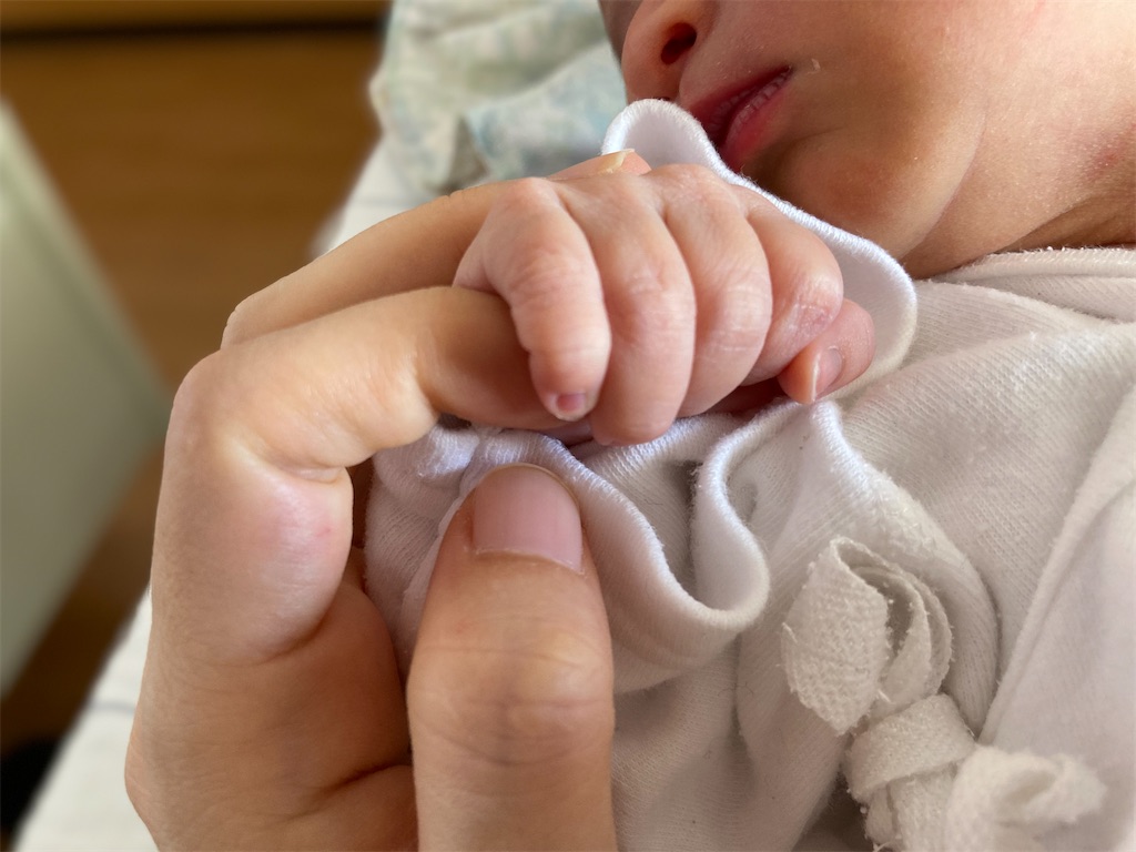 f:id:riekoand:20220321130217j:image f:id:riekoand:20220321130217j:image