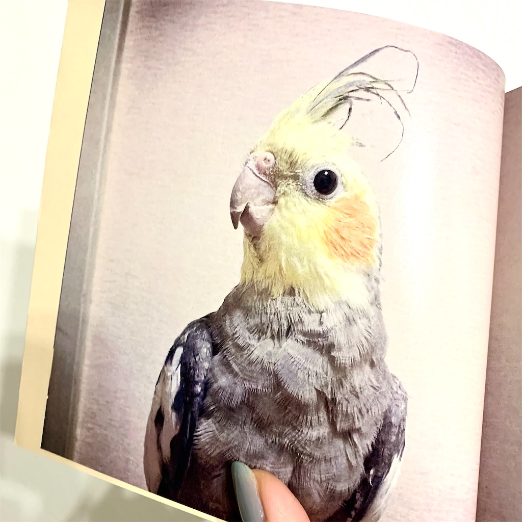 f:id:riekoh:20210128183255j:image