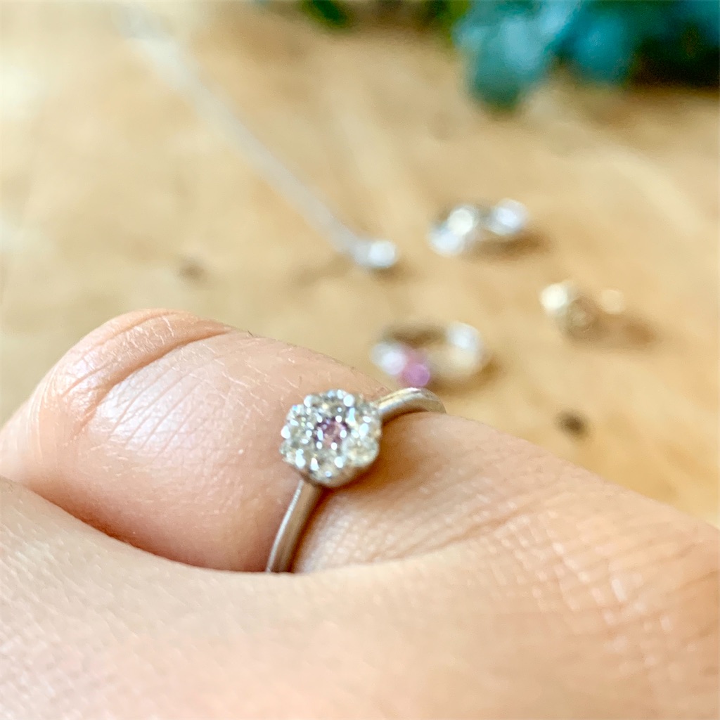 f:id:riekoh:20210219193856j:plain