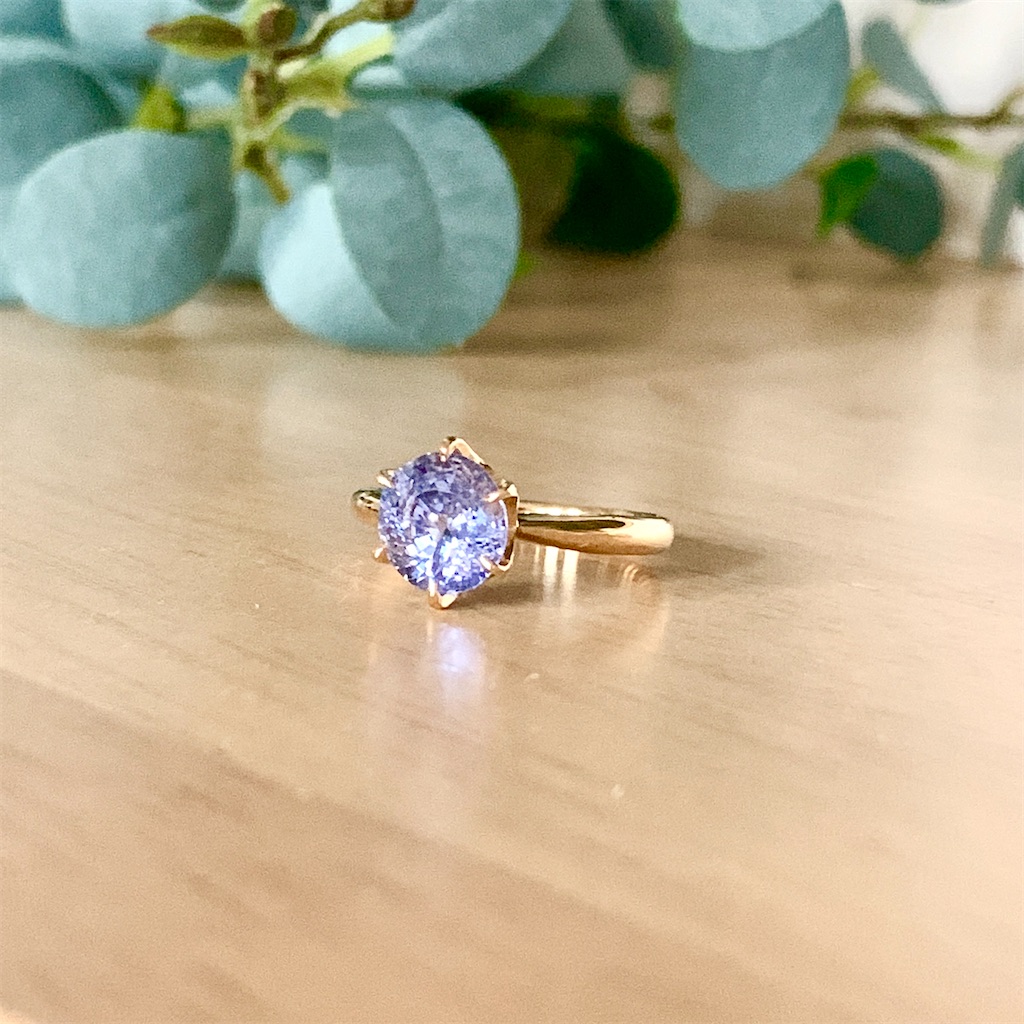 f:id:riekoh:20210225174042j:image f:id:riekoh:20210225174042j:image