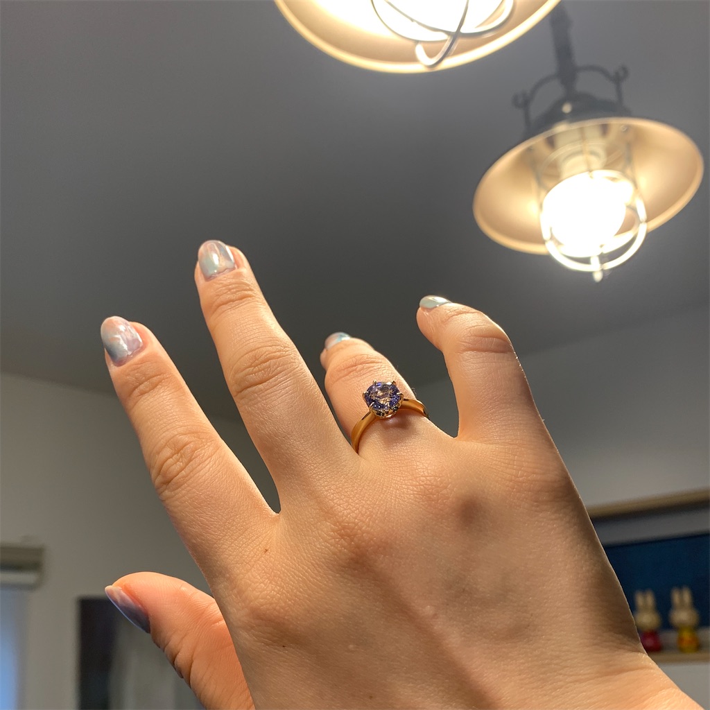 f:id:riekoh:20210225204708j:plain