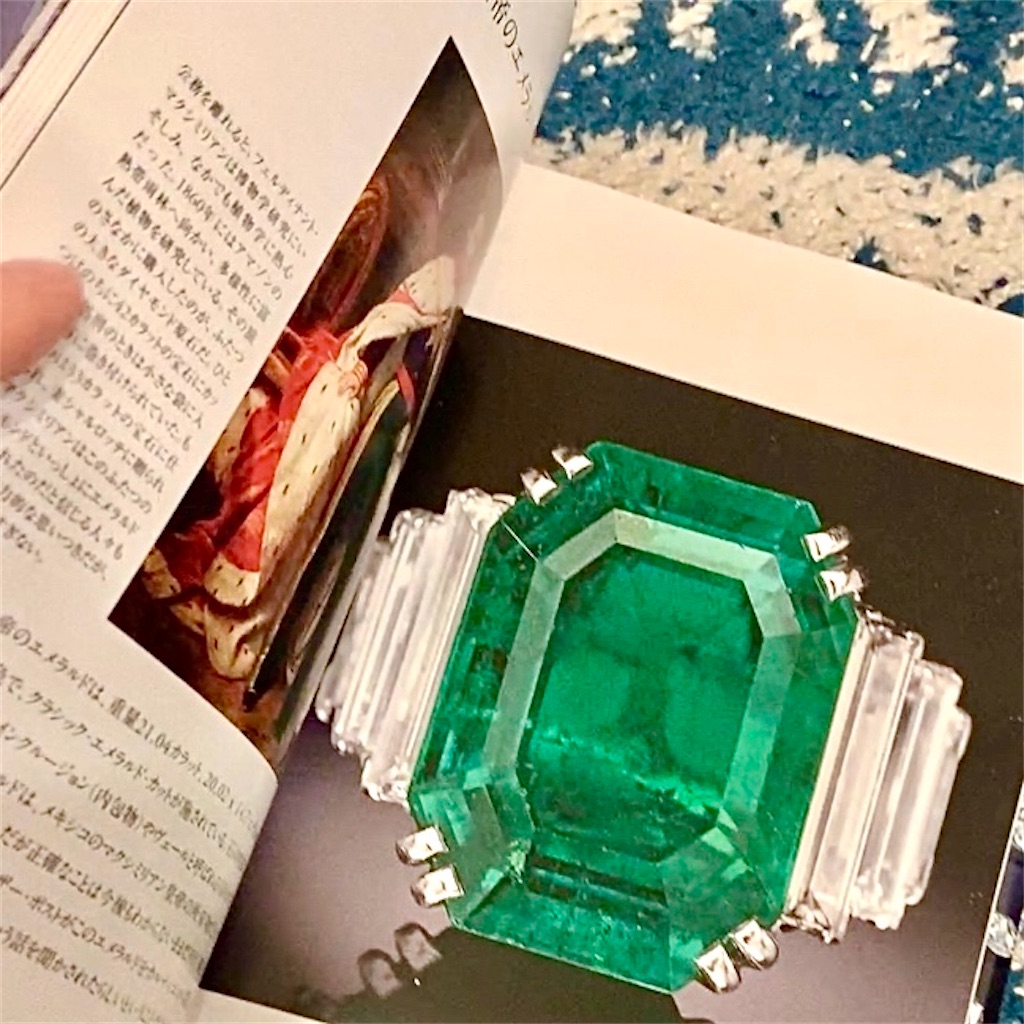 Brilliant Effects 洋書 宝石とジュエリーの文化史 Brilliant Effects