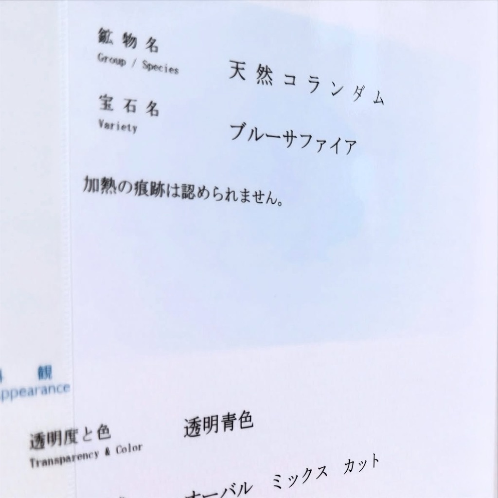 f:id:riekoh:20250502212711j:image