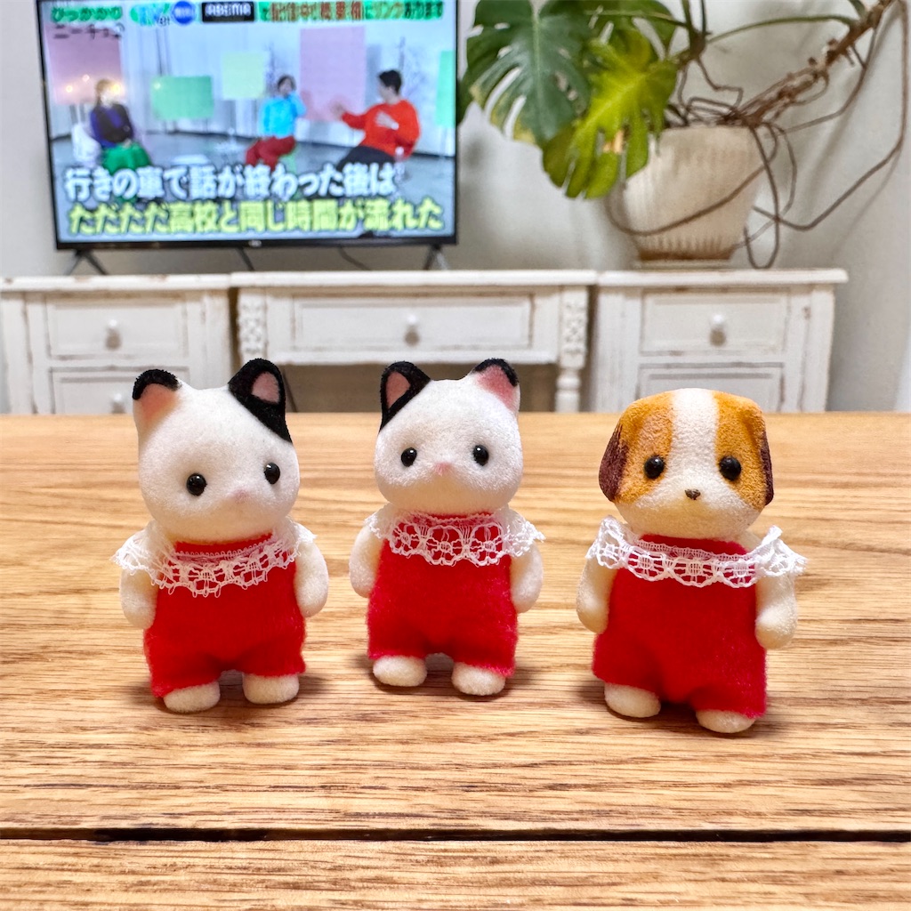 f:id:riekoh:20251107202158j:image