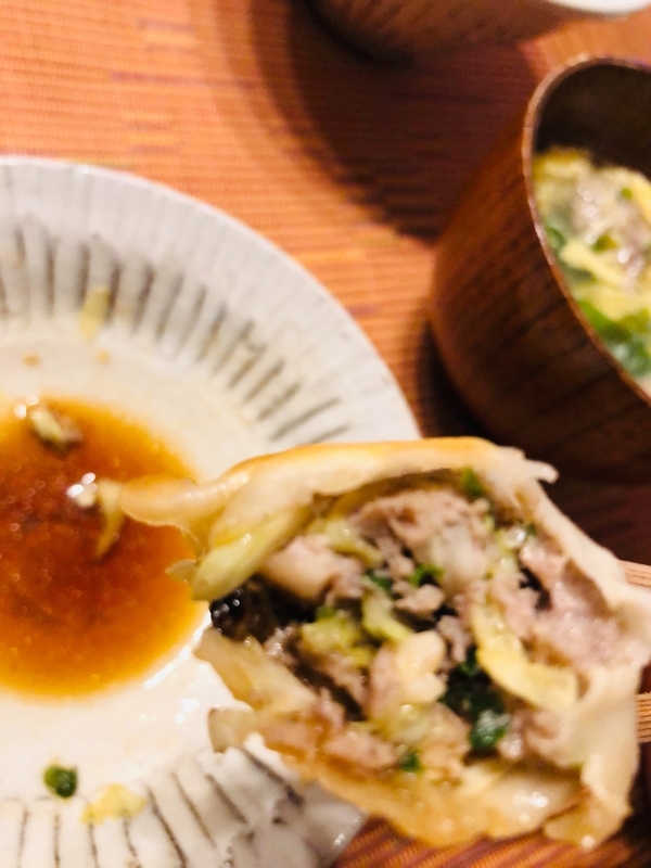 f:id:riekosannoblog:20190121124457j:plain f:id:riekosannoblog:20190121124457j:plain