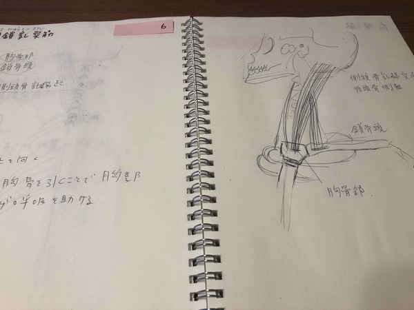 f:id:riekosannoblog:20190311083229j:plain f:id:riekosannoblog:20190311083229j:plain