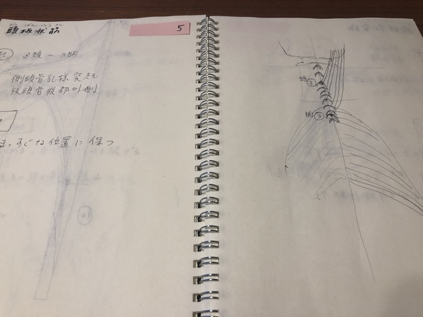 f:id:riekosannoblog:20190311083246j:plain f:id:riekosannoblog:20190311083246j:plain