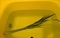 20210508100907