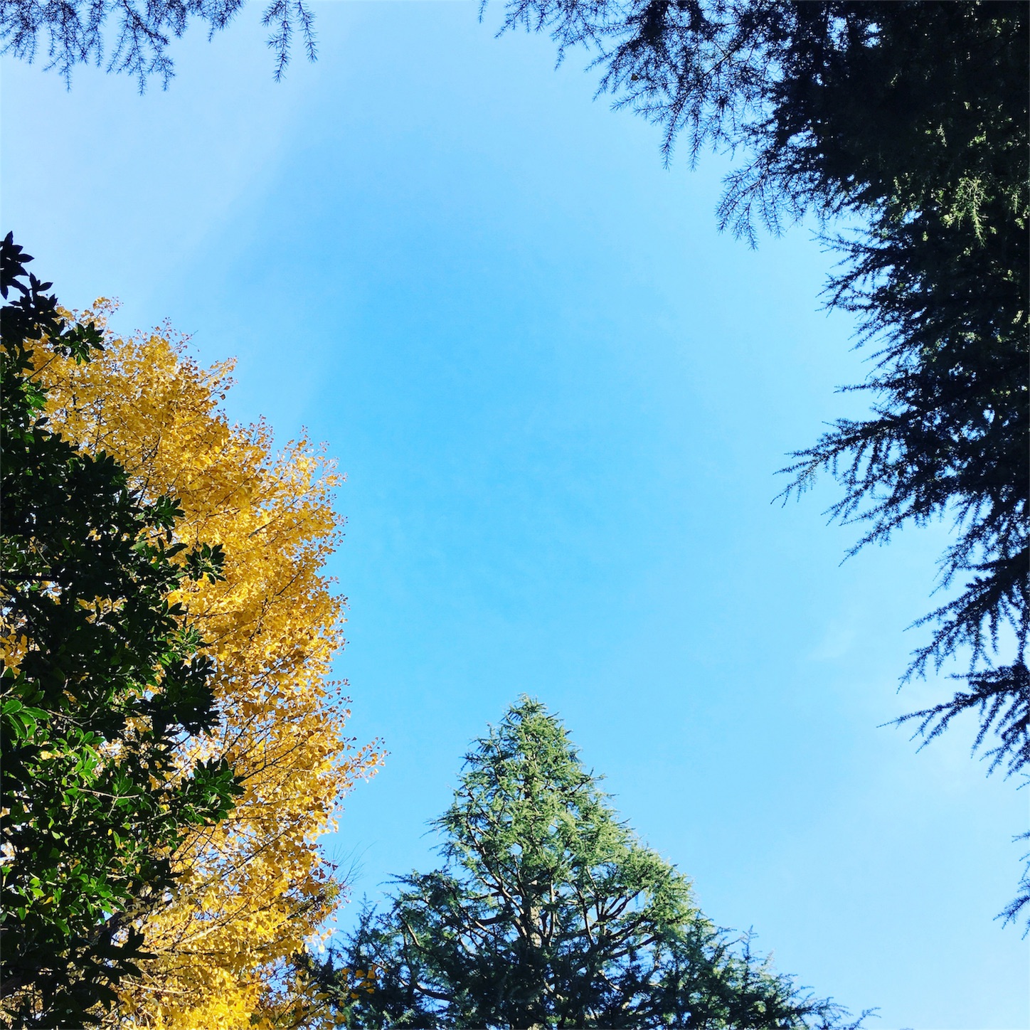 私 混乱しています Rie Log