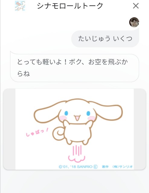 f:id:riex555:20200506032831j:image f:id:riex555:20200506032831j:image