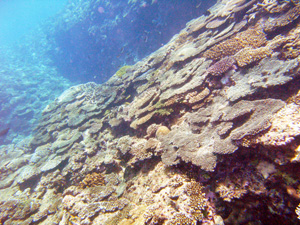 f:id:rifie:20110923204016j:image