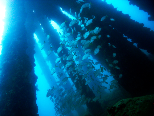 f:id:rifie:20150209054336j:image