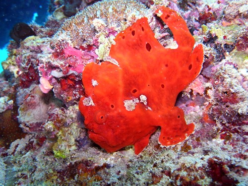 f:id:rifie:20170309143953j:image