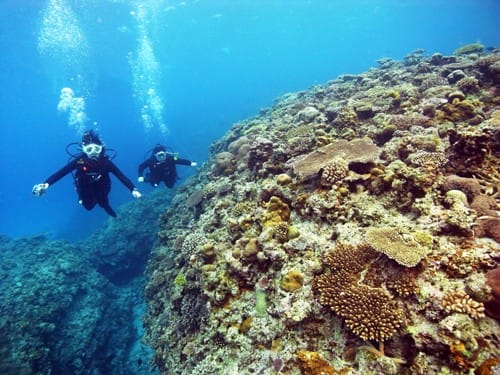 f:id:rifie:20190325050356j:plain