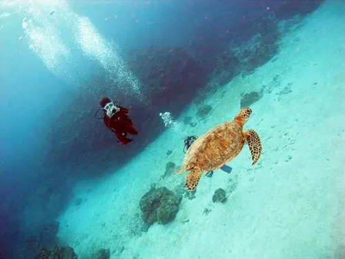 f:id:rifie:20190325050558j:plain