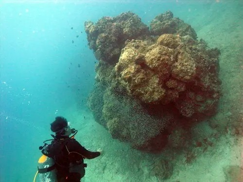 f:id:rifie:20190325050637j:plain