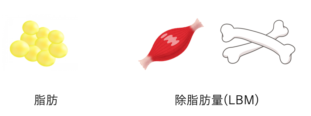 f:id:rihataikin:20181210002518p:plain f:id:rihataikin:20181210002518p:plain