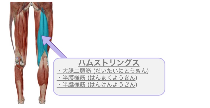 f:id:rihataikin:20200812232406j:plain