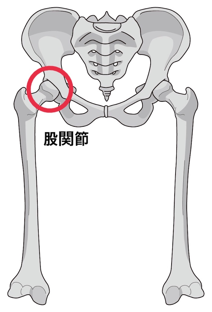 f:id:rihatop:20200518164536j:image f:id:rihatop:20200518164536j:image