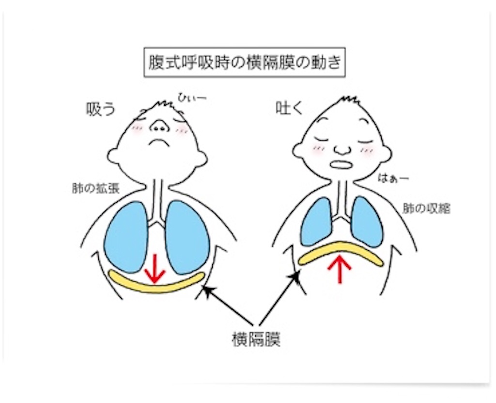 f:id:rihatop:20200521014935j:image f:id:rihatop:20200521014935j:image