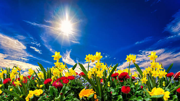 f:id:riichanhouse:20200418111149j:plain f:id:riichanhouse:20200418111149j:plain