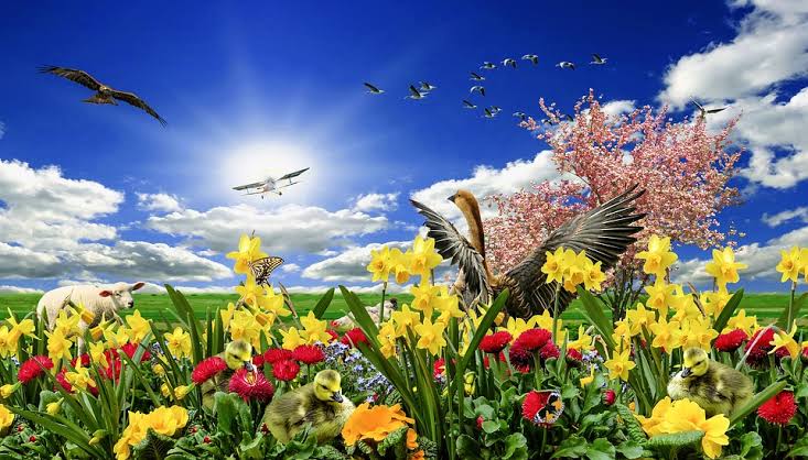 f:id:riichanhouse:20200418172658j:plain f:id:riichanhouse:20200418172658j:plain