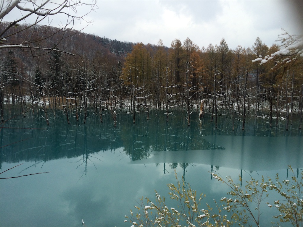 f:id:riiikkko:20161031070329j:image