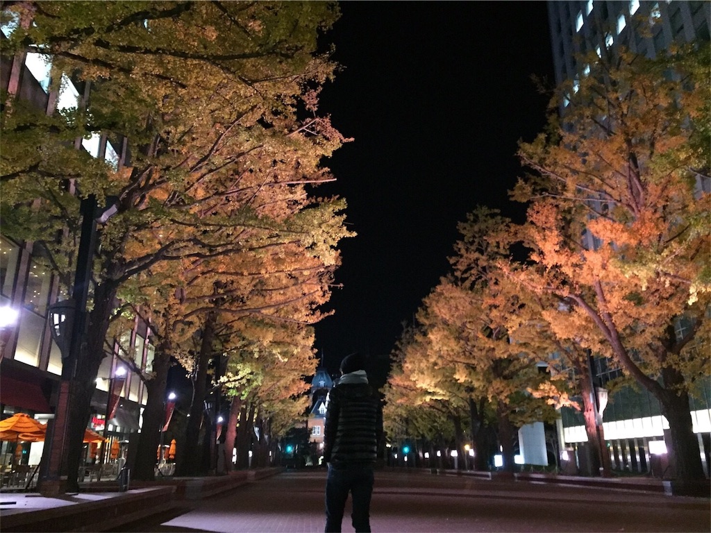 f:id:riiikkko:20161101174652j:image