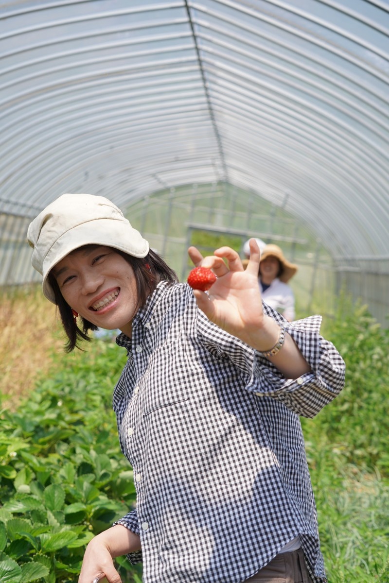f:id:riinumata:20190511015434j:plain f:id:riinumata:20190511015434j:plain