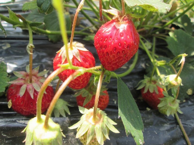 f:id:riinumata:20190511015631j:plain f:id:riinumata:20190511015631j:plain