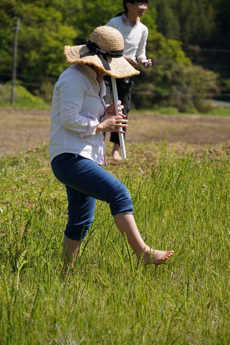 f:id:riinumata:20190511020520j:plain f:id:riinumata:20190511020520j:plain